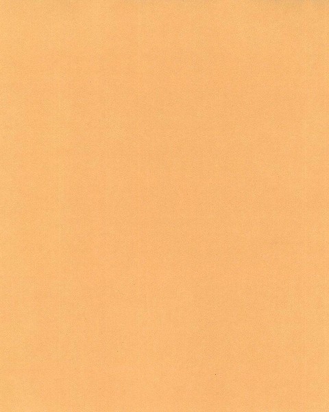Hattan Palette | 28 Amber